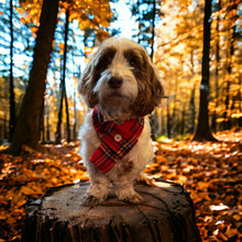 Load image into Gallery viewer, Red Tartan Scarf