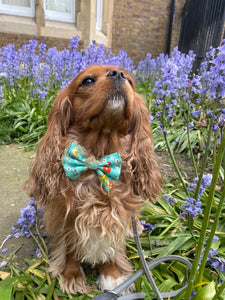 Felicity Floral