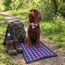 Load image into Gallery viewer, Florence Check Sit Mat