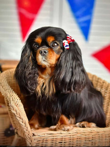 Best Of British Mini Bows