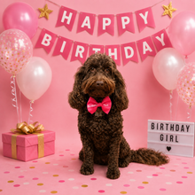 Load image into Gallery viewer, Birthday Girl