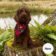 Load image into Gallery viewer, Pink Tartan Scarf
