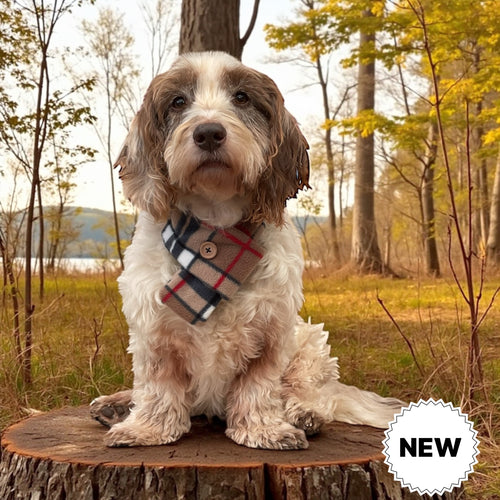 Beige and Black Tartan Scarf