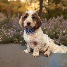 Load image into Gallery viewer, Gingham Blue