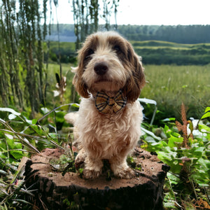 Burnberry  Tartan -