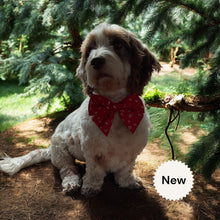 Load image into Gallery viewer, Red Nautical Sailor Bow