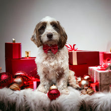 Load image into Gallery viewer, Christmas Stars Red