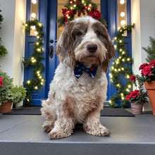 Load image into Gallery viewer, Christmas Trees