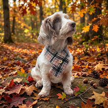 Load image into Gallery viewer, Burnberry Tartan Scarf