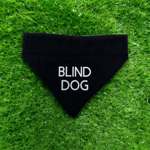 Load image into Gallery viewer, Blind Dog