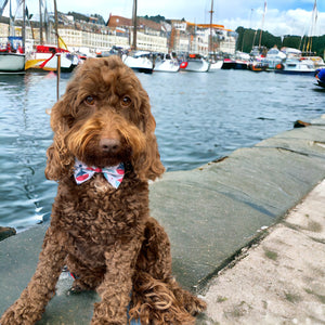 Ahoy There