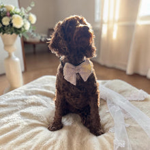 Load image into Gallery viewer, Wedding Sailor Bow Ivory / Lace