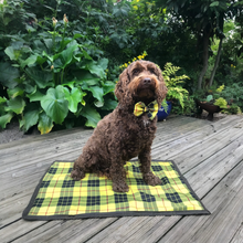 Load image into Gallery viewer, Kinross Tartan Sit Mat