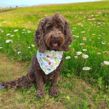Load image into Gallery viewer, Ladybug Dog Bandana