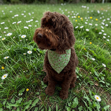Load image into Gallery viewer, Ladybug Fiesta Bandana
