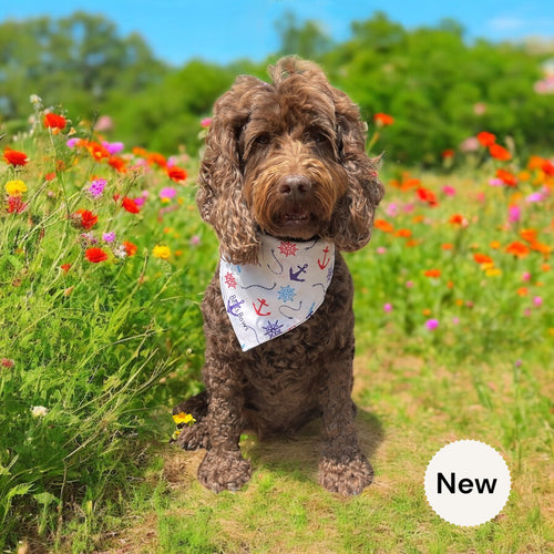 Anchors Away Dog Bandana
