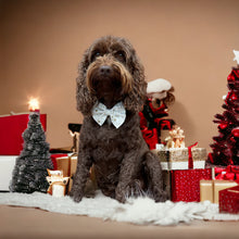 Load image into Gallery viewer, Christmas Stars Cream