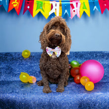Load image into Gallery viewer, Party Time