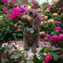 Load image into Gallery viewer, Flower Power