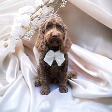 Load image into Gallery viewer, Wedding Sailor Bow Ivory / Lace