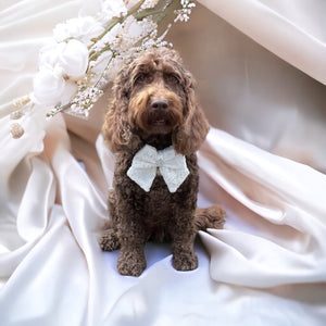 Wedding Sailor Bow Ivory / Lace