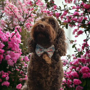 Spring Floral Blue