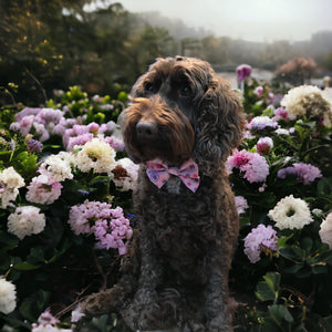 Spring Floral Pink