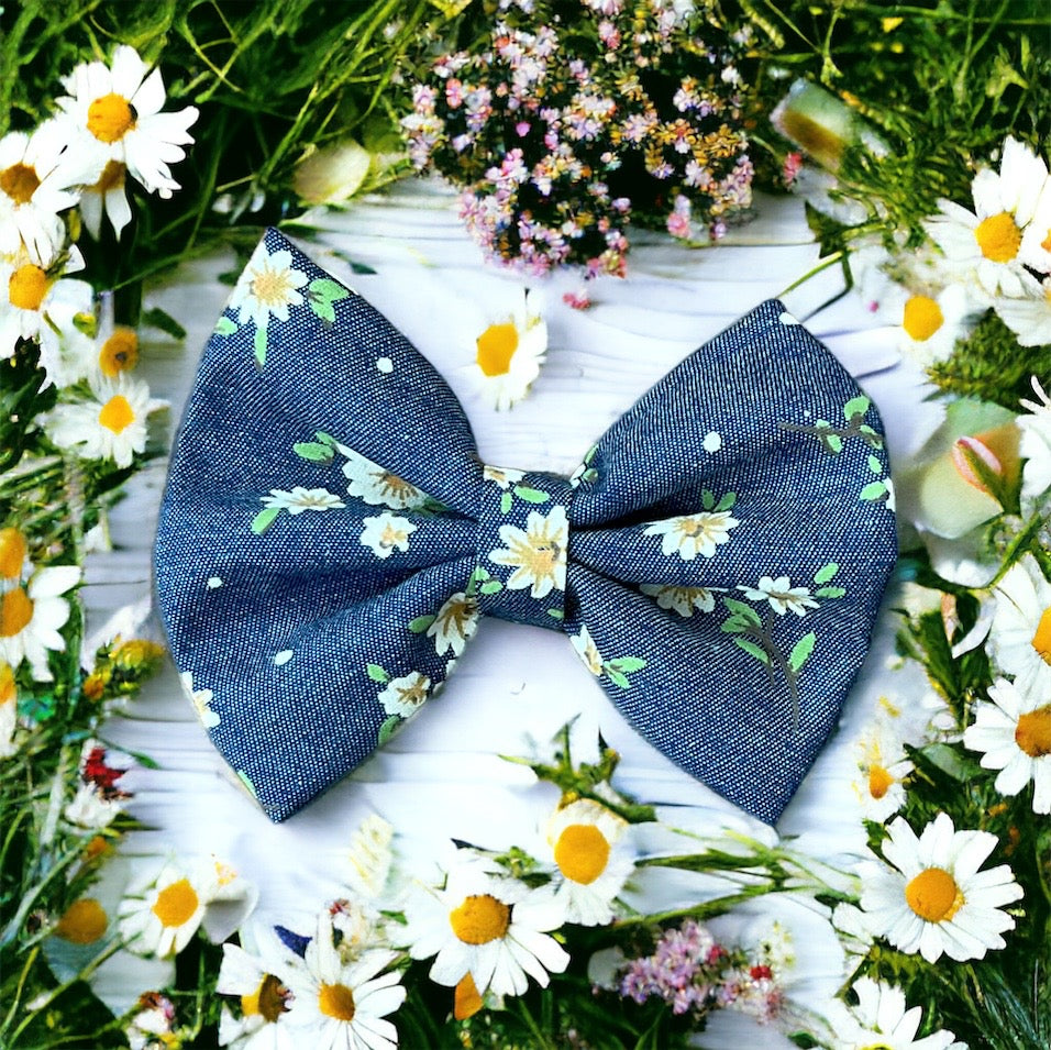 Daisies