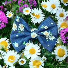 Load image into Gallery viewer, Daisies