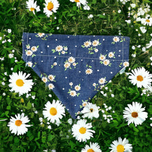 Load image into Gallery viewer, Daisies