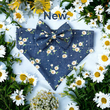 Load image into Gallery viewer, Daisies