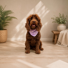 Load image into Gallery viewer, Daisy Reversible Tie Bandana