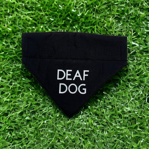 Deaf Dog