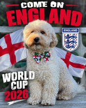 Load image into Gallery viewer, Come On England