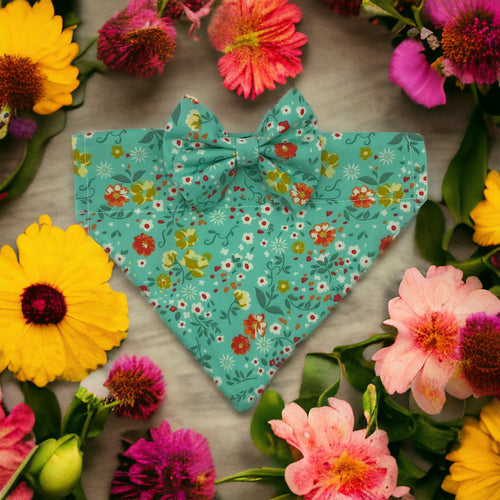 Felicity Floral