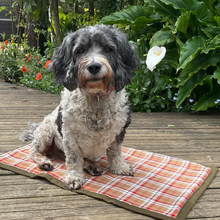 Load image into Gallery viewer, Chelsea Check Sit Mat