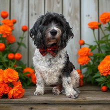 Load image into Gallery viewer, Henry