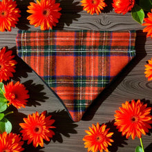 Load image into Gallery viewer, Henry