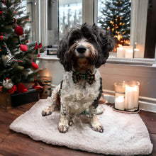 Load image into Gallery viewer, Christmas Green Check