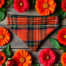 Load image into Gallery viewer, Henry