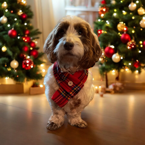 Christmas Red Tartan Scarf