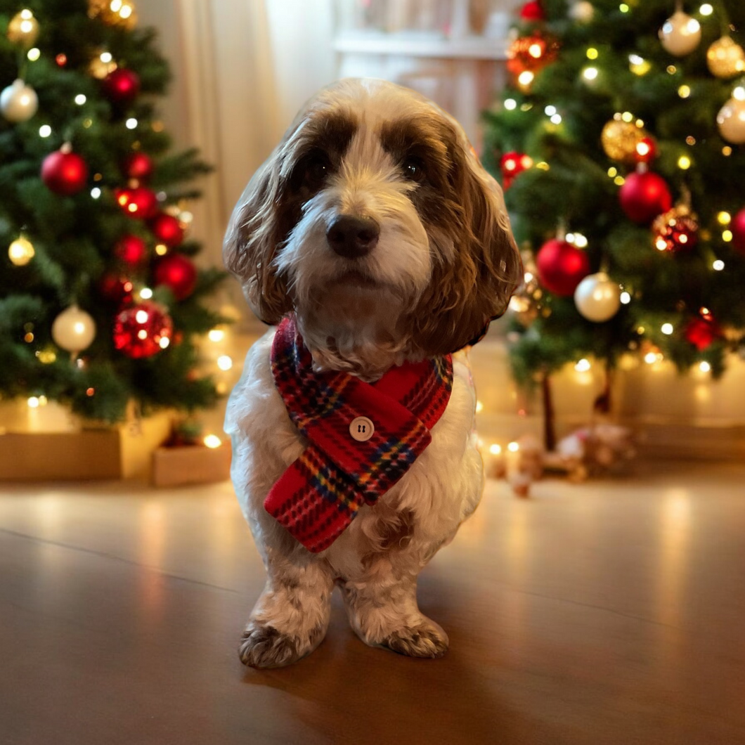 Christmas Red Tartan Scarf