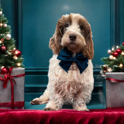 Christmas Velvet Sailor Bow Teal Blue