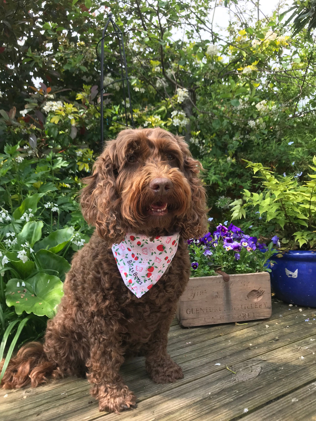 Strawberry Bloom Dog Bandana