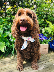 Strawberry Bloom Dog Bandana