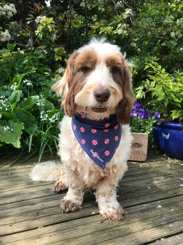 Union Jack Polka Dot Dog Bandana