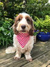 Load image into Gallery viewer, Candy Stripe Dog Bandana