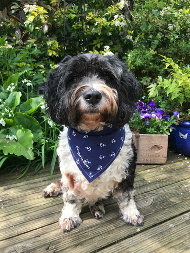 Anchors Away Dog Bandana