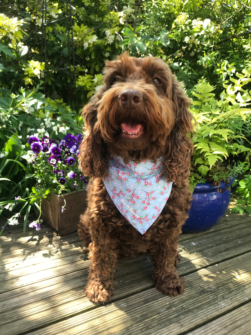 Blossom Dog Bandana