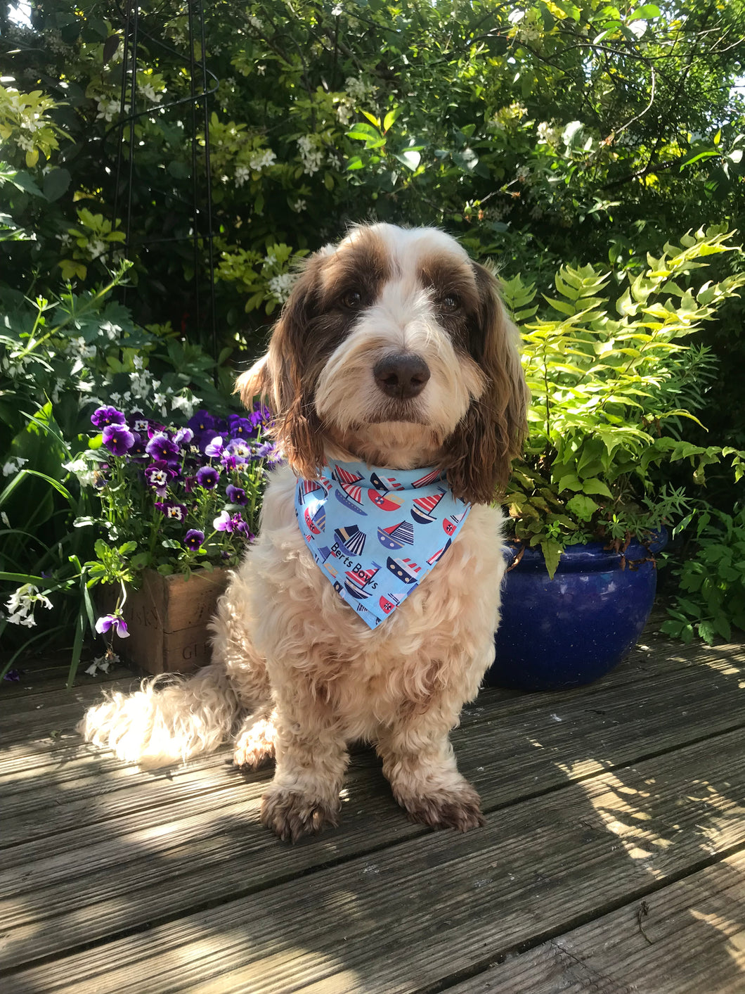 Sail Away Dog Bandana